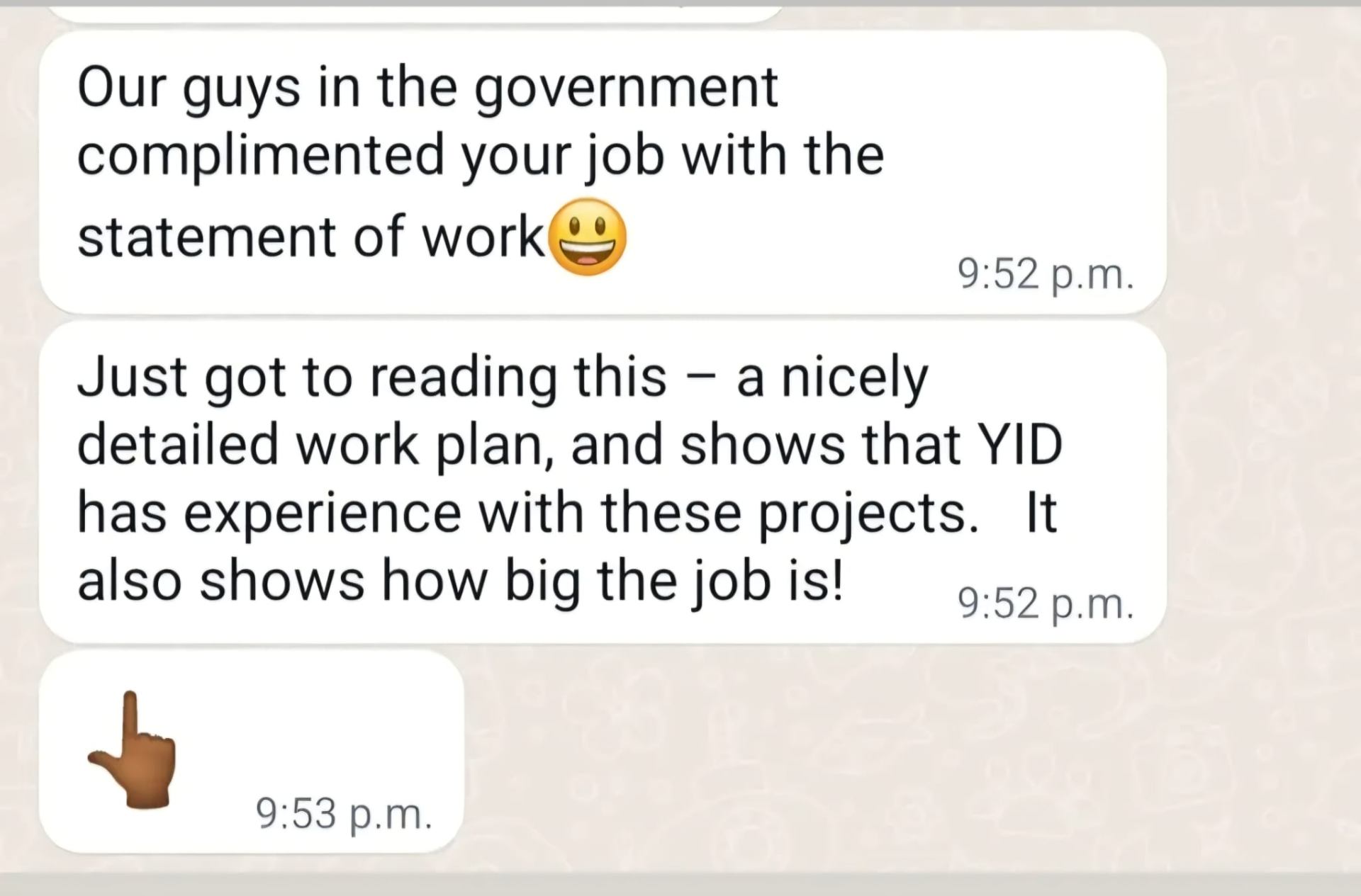 Client praising Tolu's detailed work plan and project experience